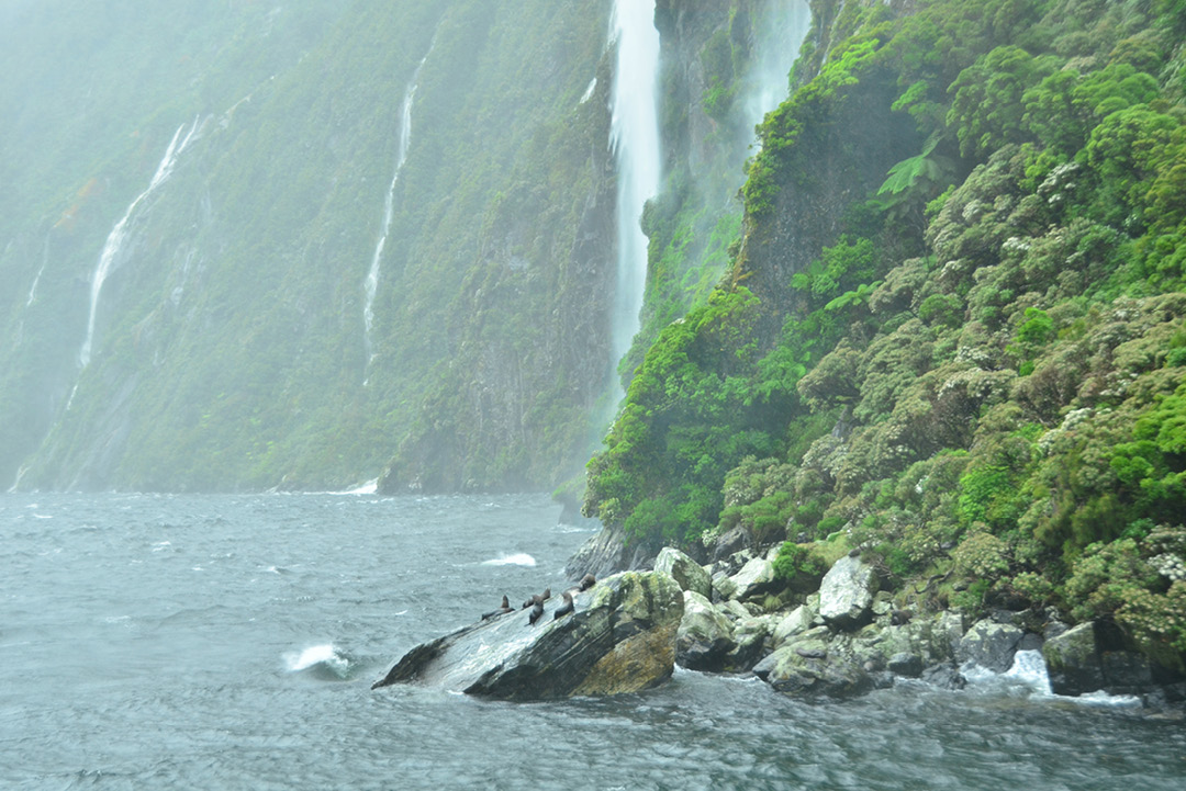 触景新西兰| 湖光山色、高山流水– 触景旅行